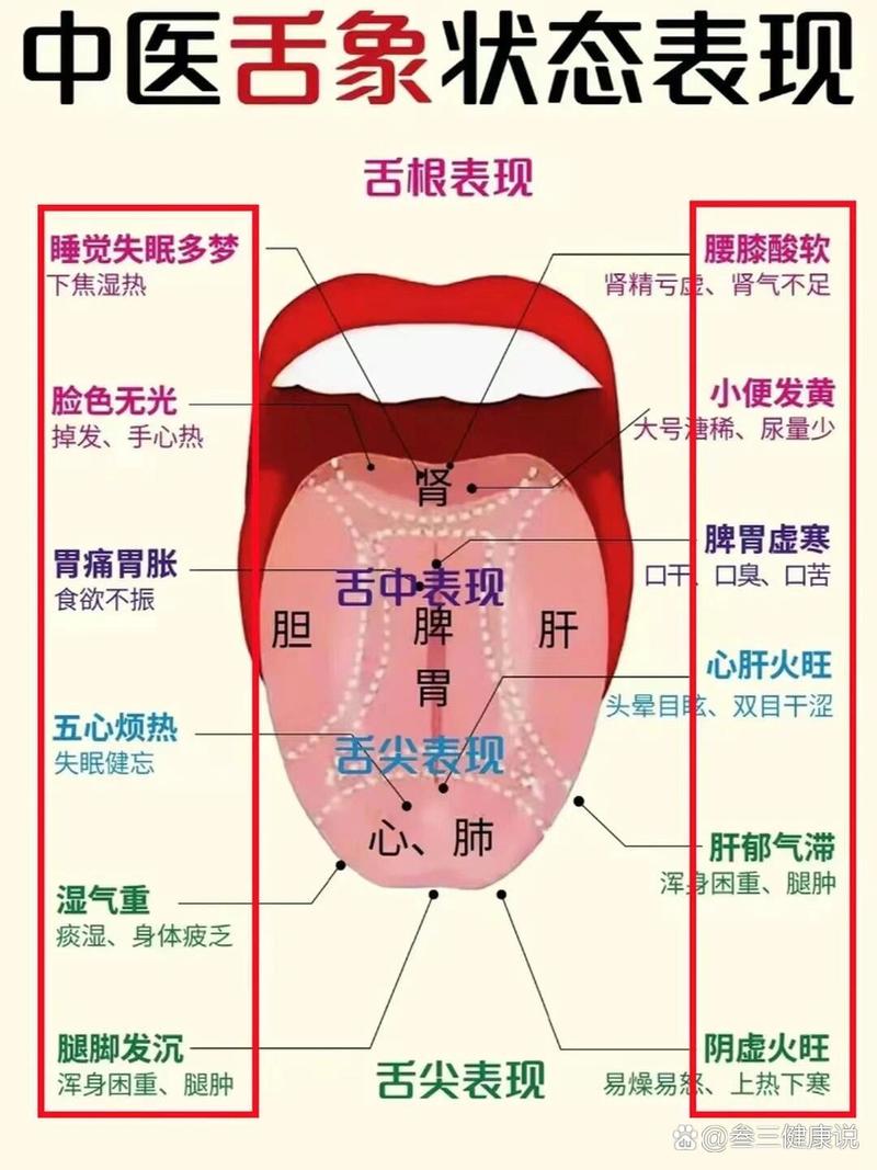 新澳2025年正版资料和舌根和牙龈被缝一起与舌根和牙龈被缝一起怎么办