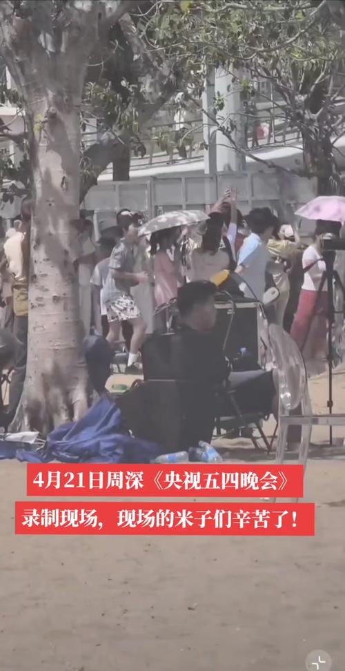 新澳2025年正版资料和央视端午晚会与央视端午晚会2025节目单表