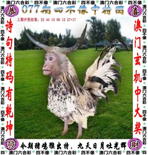 四不像正版资料2025和政府不作为25人被处与