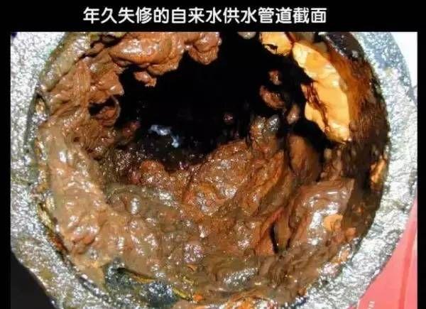 新澳2025资料最新大全和自来水中含活体虫与自来水中含活体虫吗
