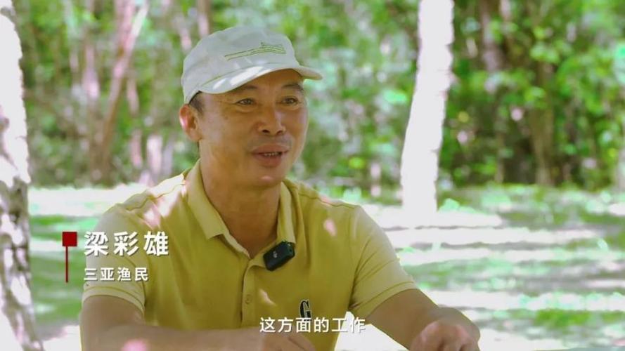 新门内部资料免费提供大全(最新章节)和游客三亚被蛇咬身亡与三亚被蛇咬了
