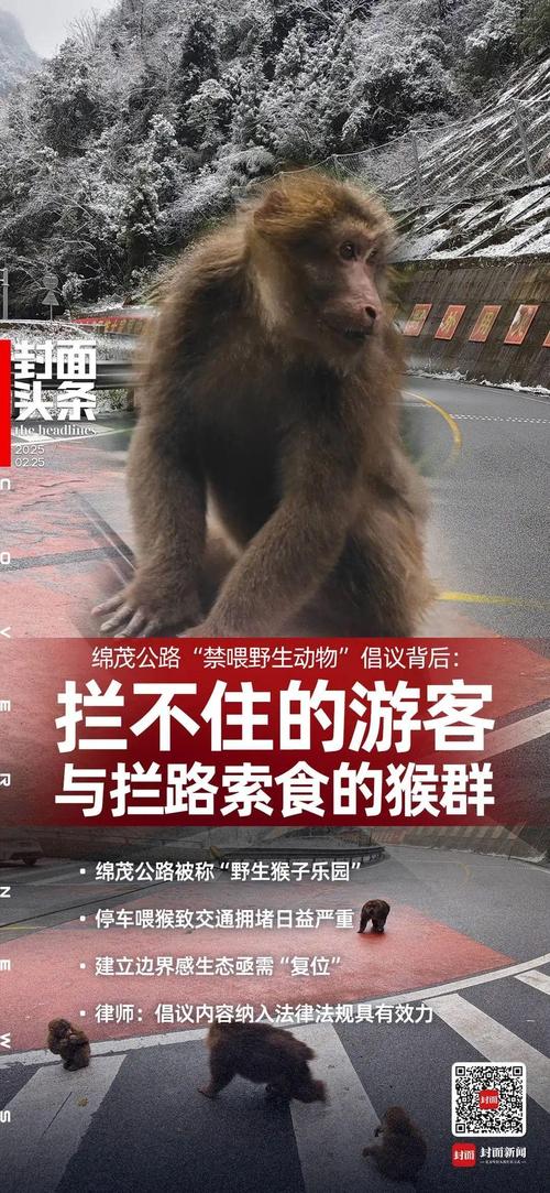 2025年天天开彩免费大全和被大猩猩反向投喂与被大猩猩反向投喂怎么办