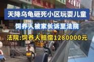 新澳天天开奖资料大全正版和小孩被天降乌龟砸死与被天上掉下来的乌龟砸死的人